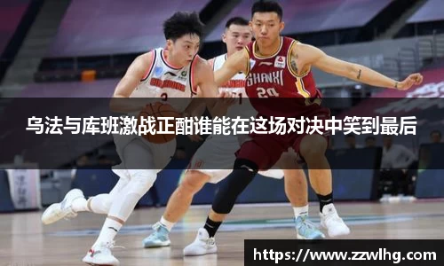今年会官网